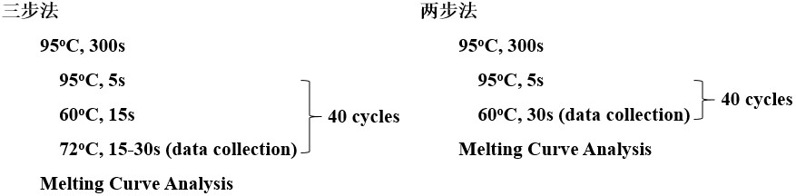 qpcr反应程序