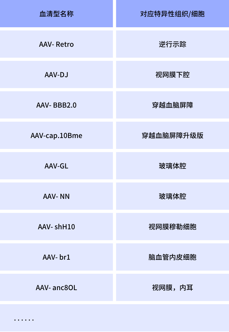 神经组织AAV血清型