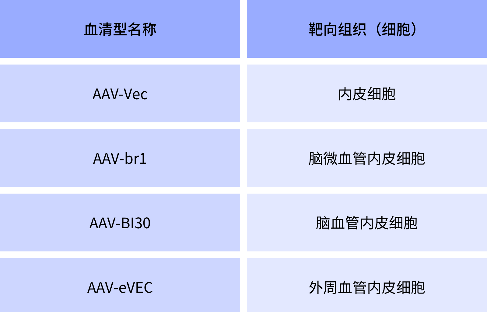 特异性感染内皮细胞的AAV血清型