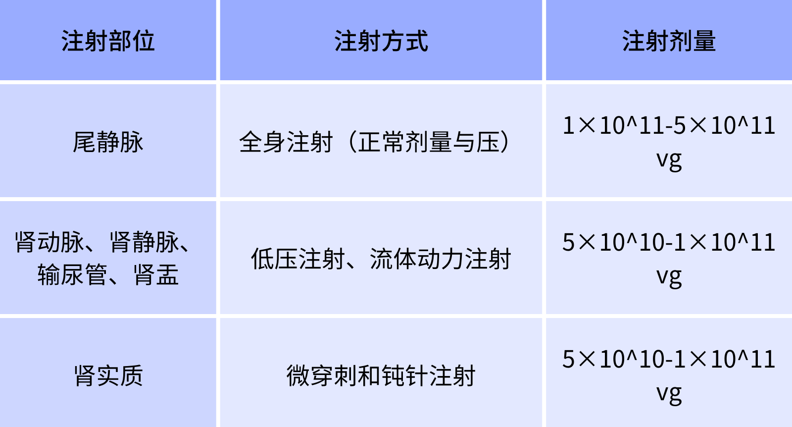 AAV9注射部位及计量参考