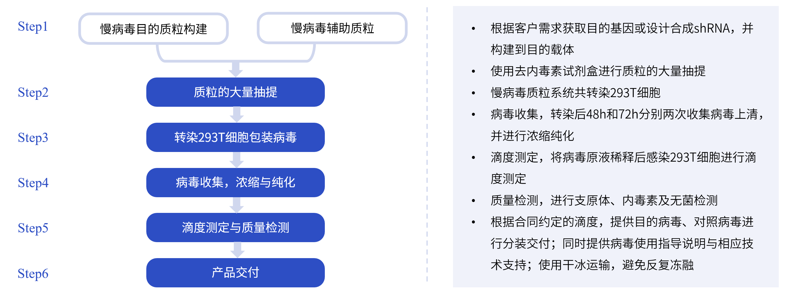 慢病毒包装服务流程