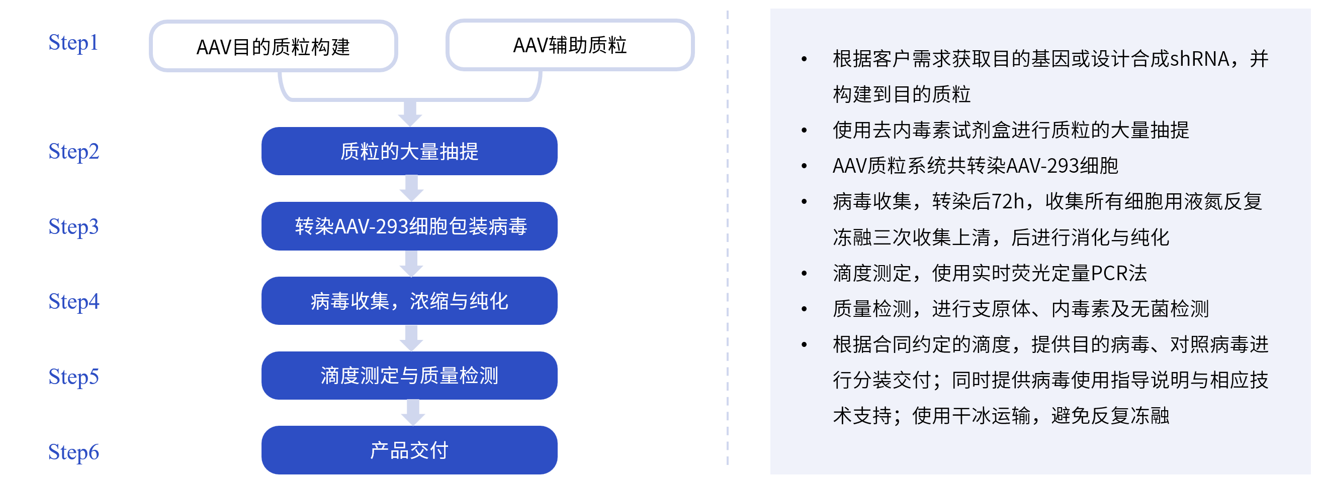 腺相关病毒包装服务流程