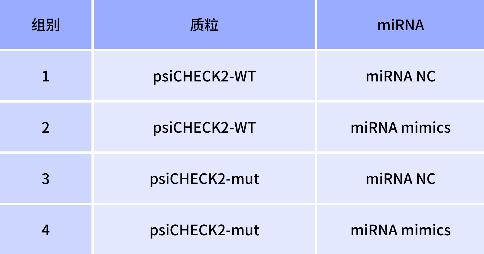 转染组别设置（1）