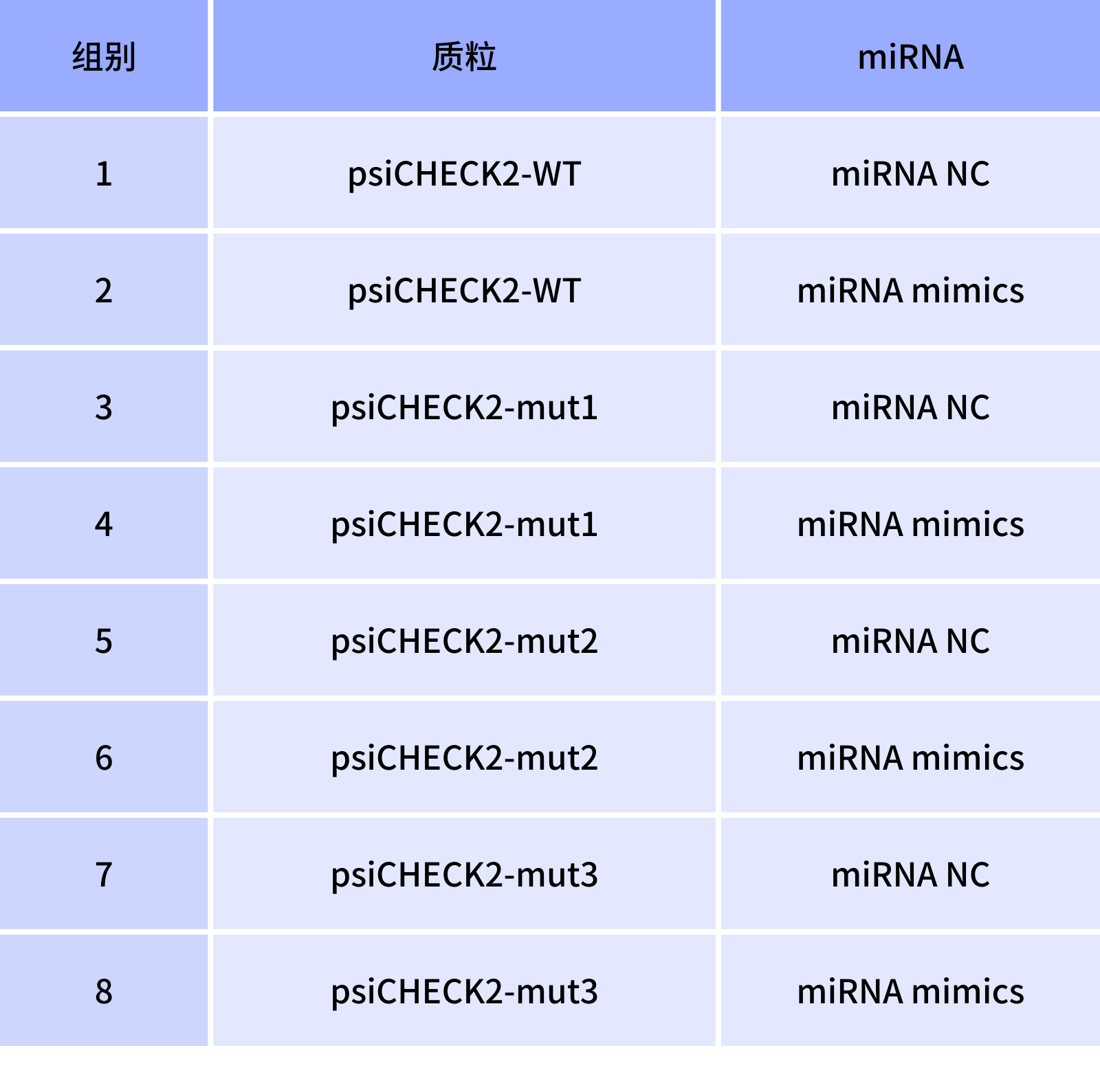 转染组别设置（2）