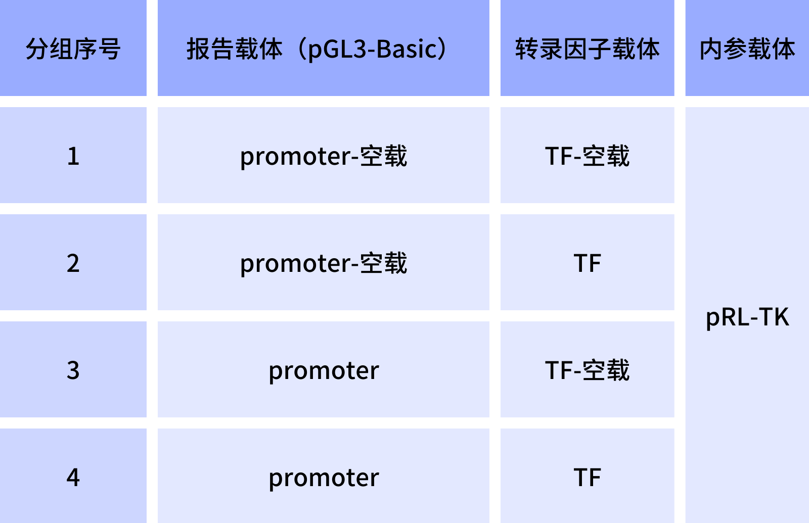 启动子和转录因子结合验证双荧光素酶实验分组