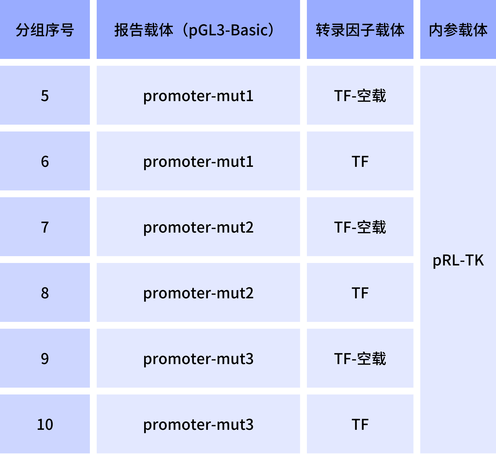 启动子和转录因子结合位点验证双荧光素酶实验分组