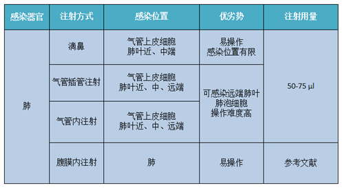 肺脏感染的具体方式分类