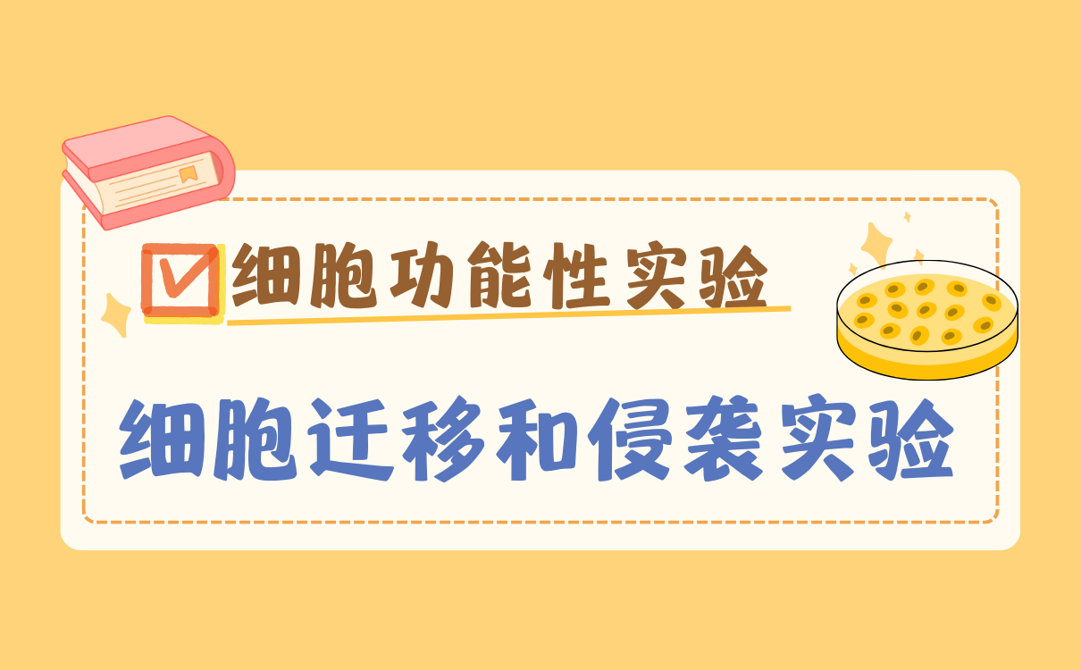 细胞迁移和侵袭实验
