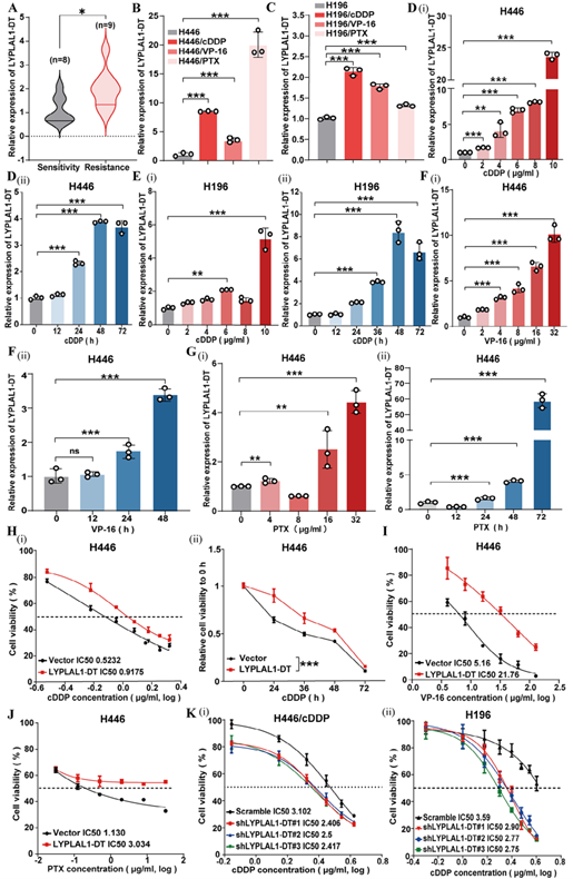 LYPLAL1-DT参与SCLC多药耐药