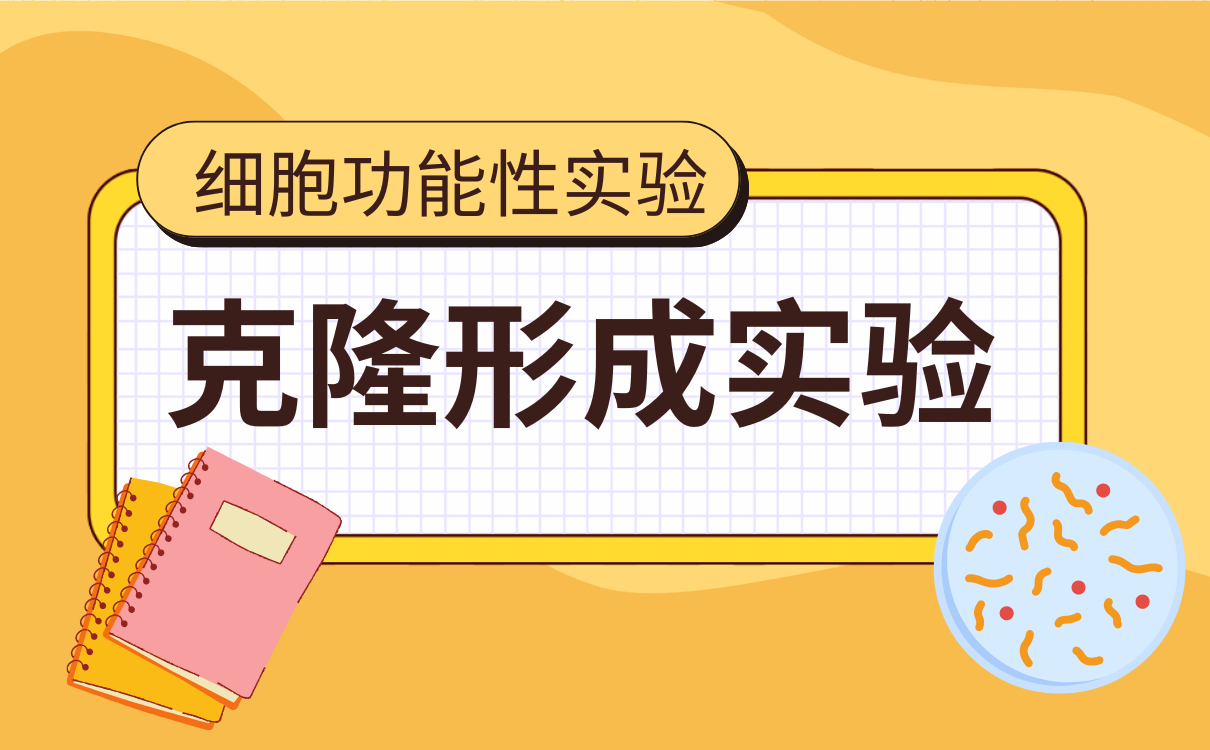 克隆形成实验