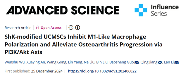 钾通道Kv1.3——OA的潜在治疗靶点