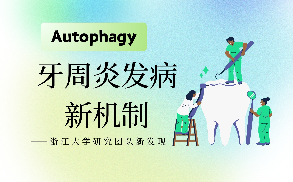 牙周炎发病新机制