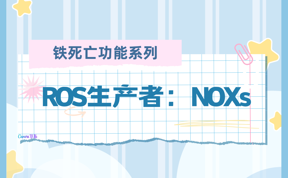 铁死亡功能酶系列|ROS生产者：NOXs