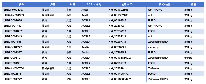Parkin抑制铁过载引起的线粒体损伤