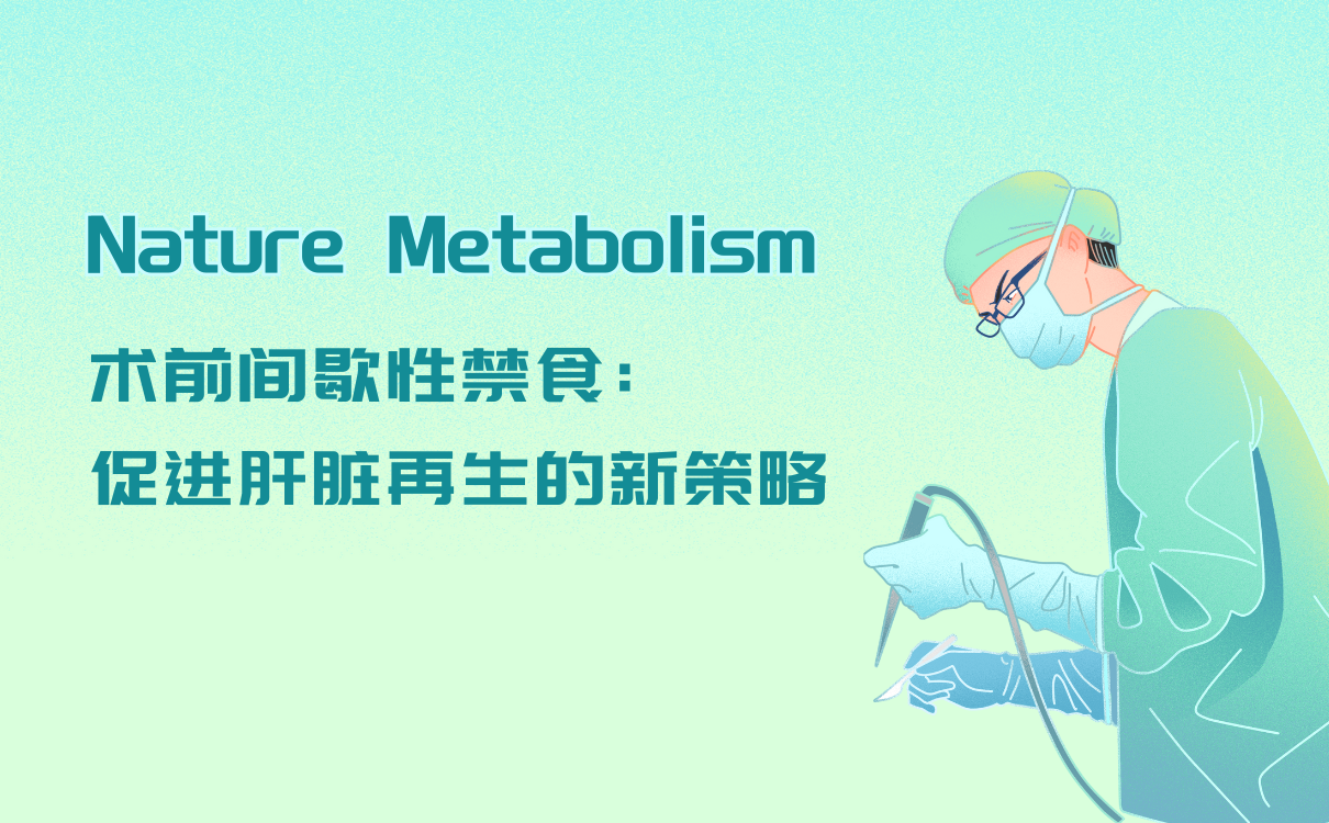 术前间歇性禁食：激活G6PDX促进肝脏再生的新策略