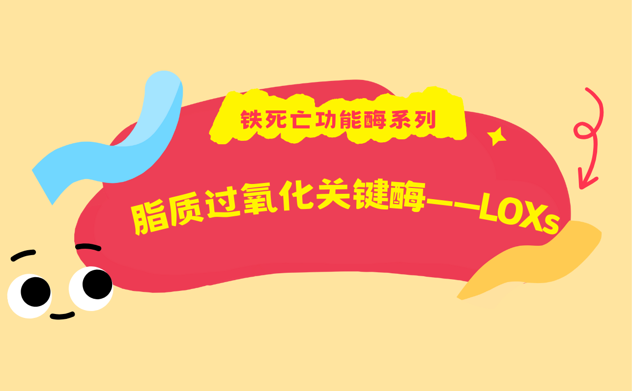 脂质过氧化关键酶——LOXs