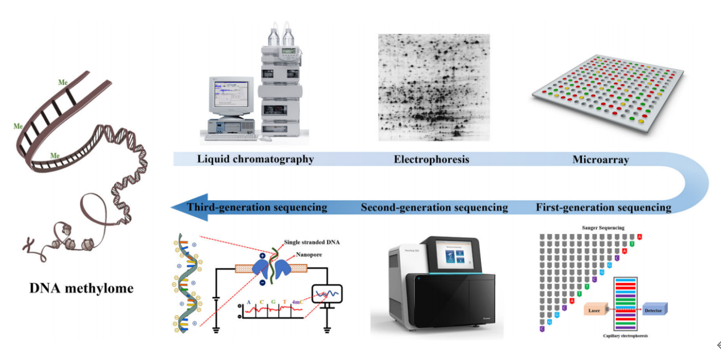 DNA甲基化分析方法的演变