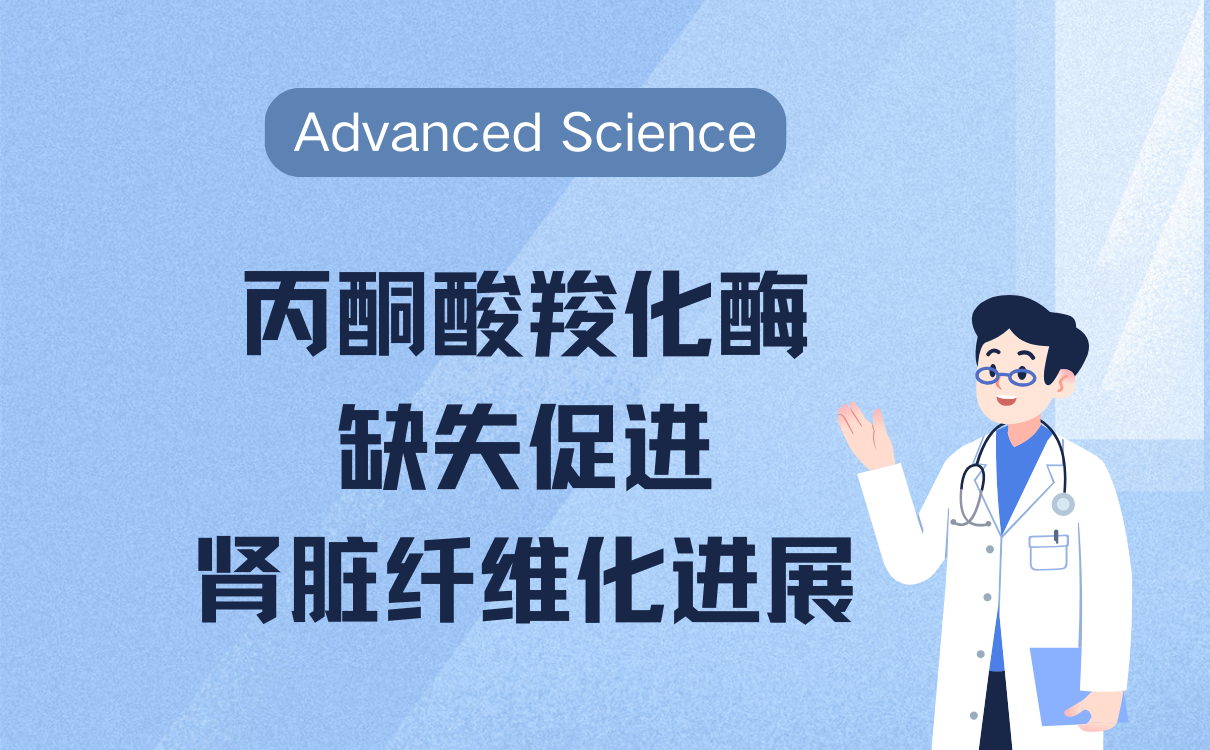 糖酵解促进肾脏纤维化进展