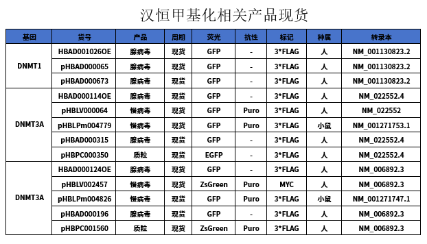 汉恒相关甲基化产品