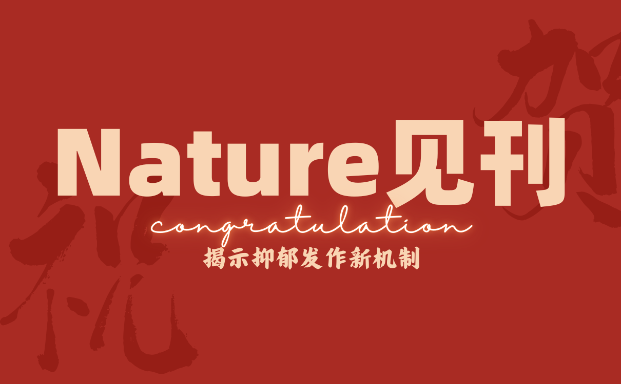 应激动态调节神经元自噬以控制抑郁发作