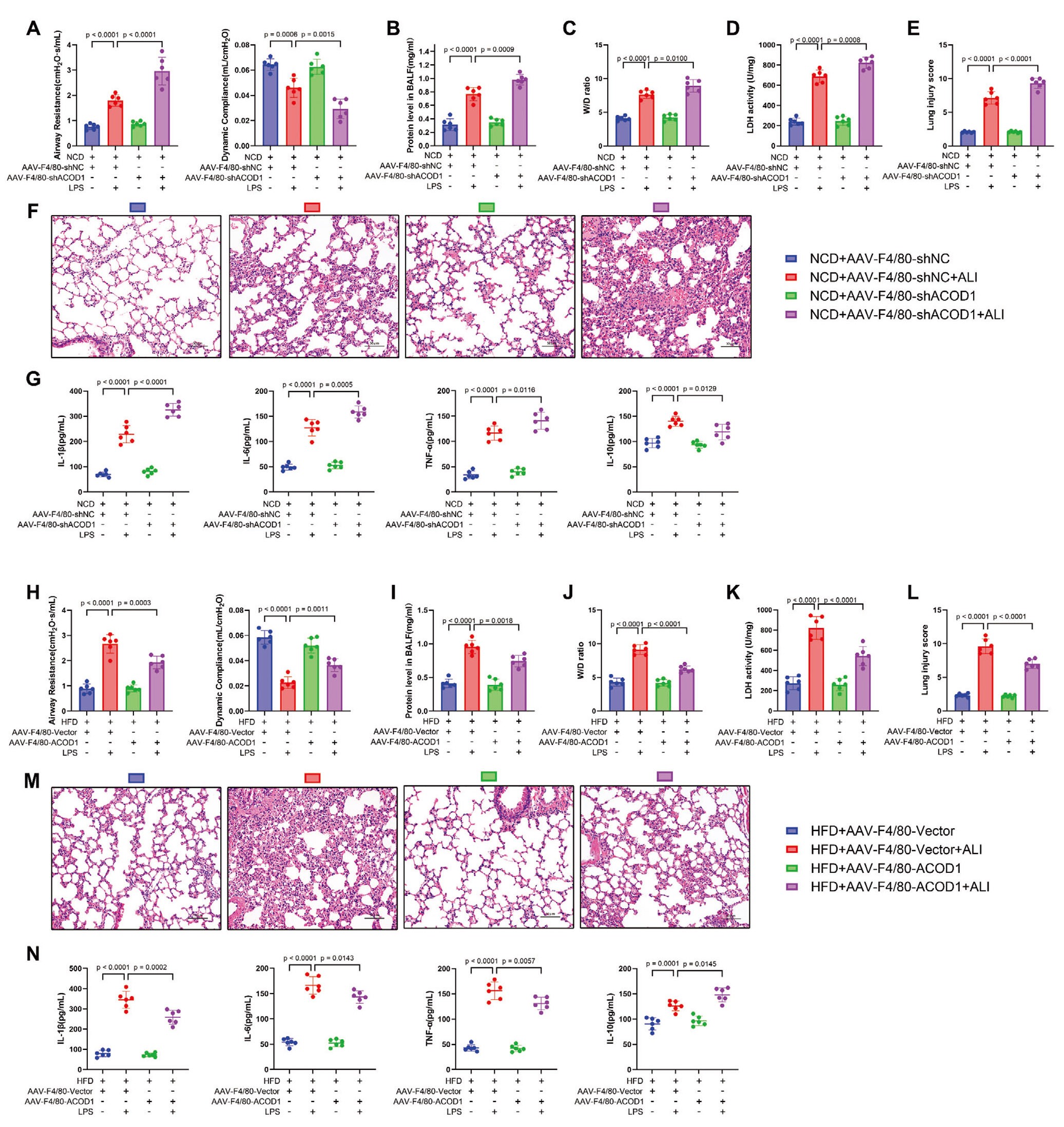 靶向调节巨噬细胞ACOD1可调节LPS诱导的肺损伤