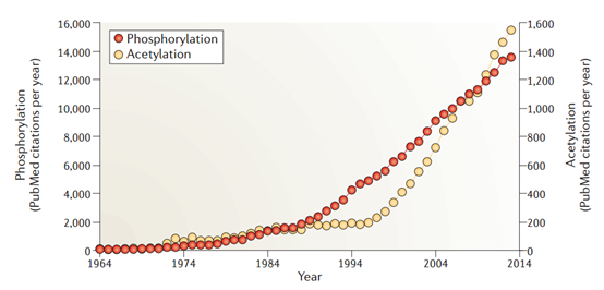关于蛋白质乙酰化的出版物