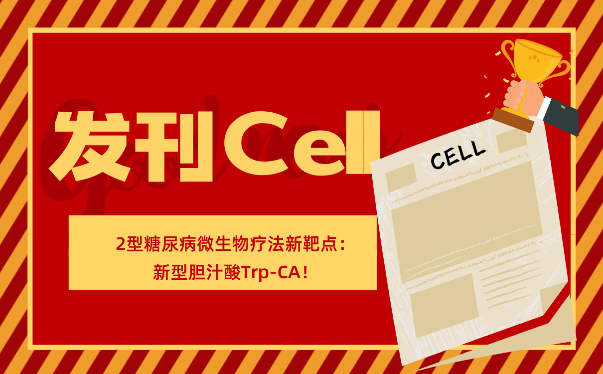 新型胆汁酸Trp-CA
