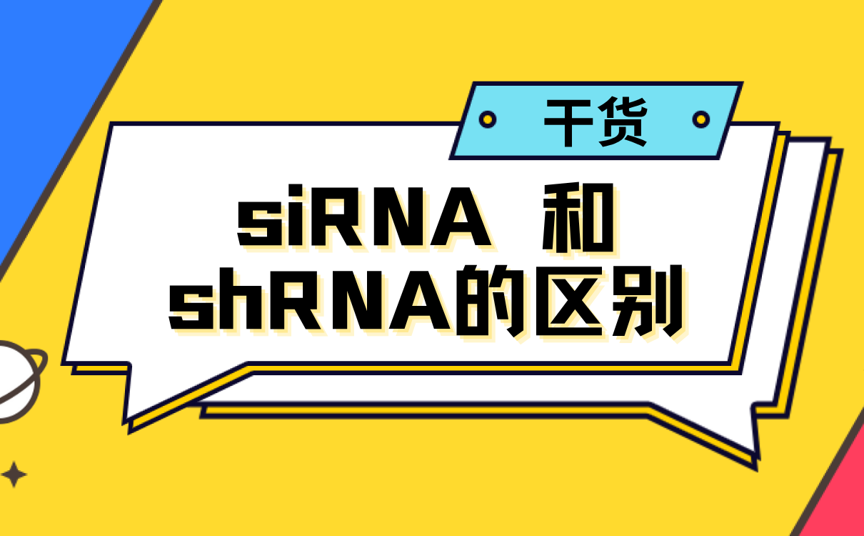 siRNA 和shRNA的区别