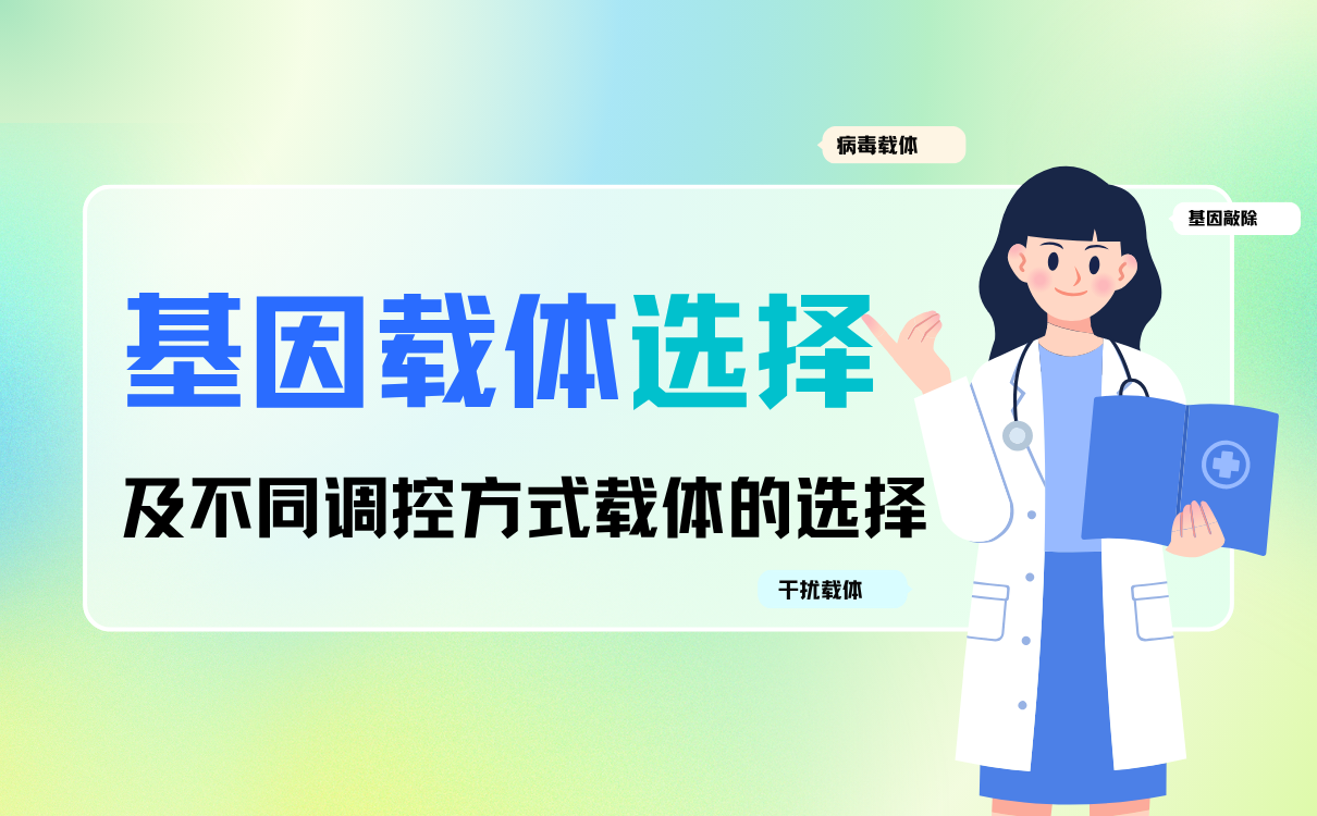 基因载体选择及不同调控方式载体的选择