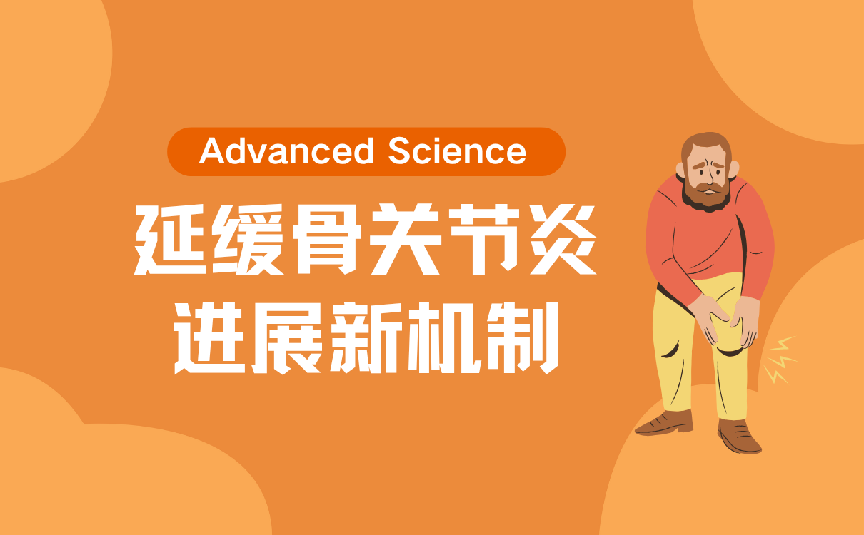 揭示低强度脉冲超声治疗延缓骨关节炎进展的机制