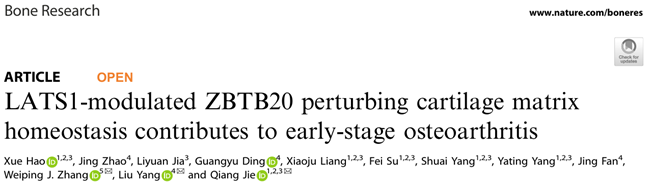 关节炎早期干预新策略