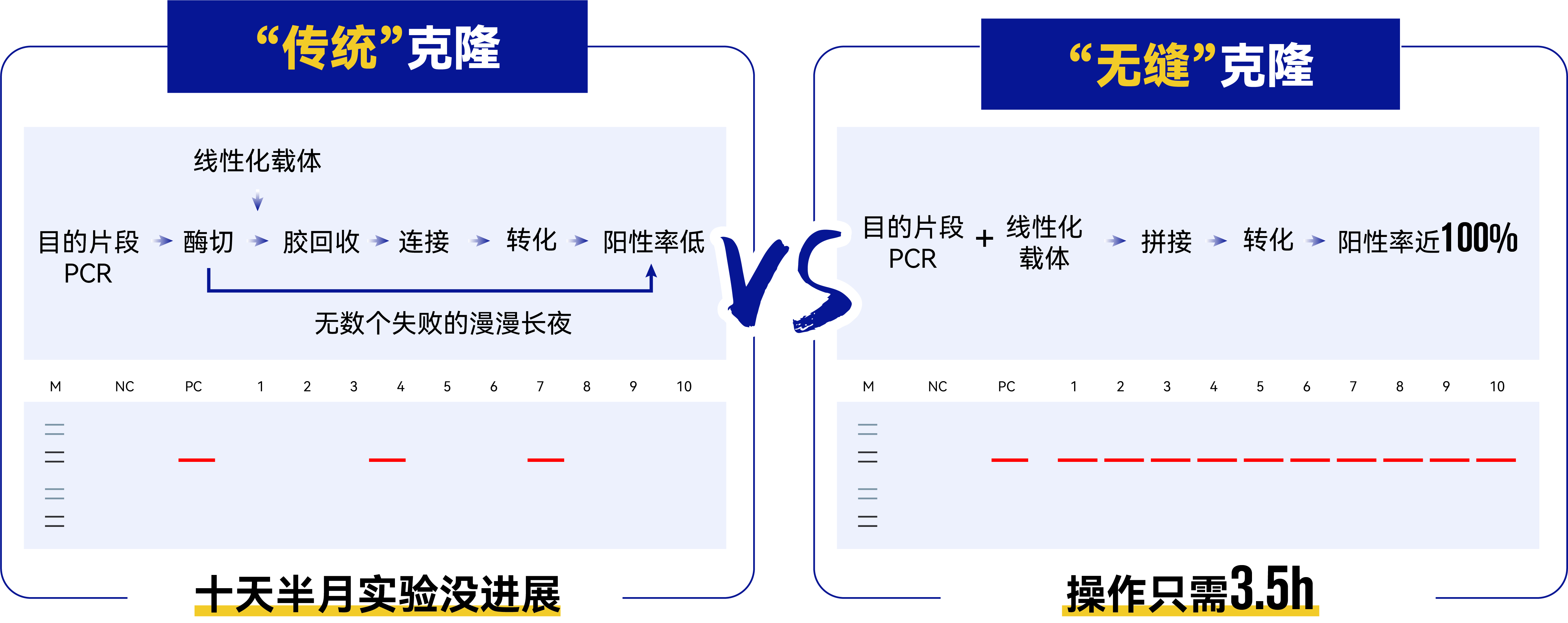 传统分子克隆和无缝克隆对比