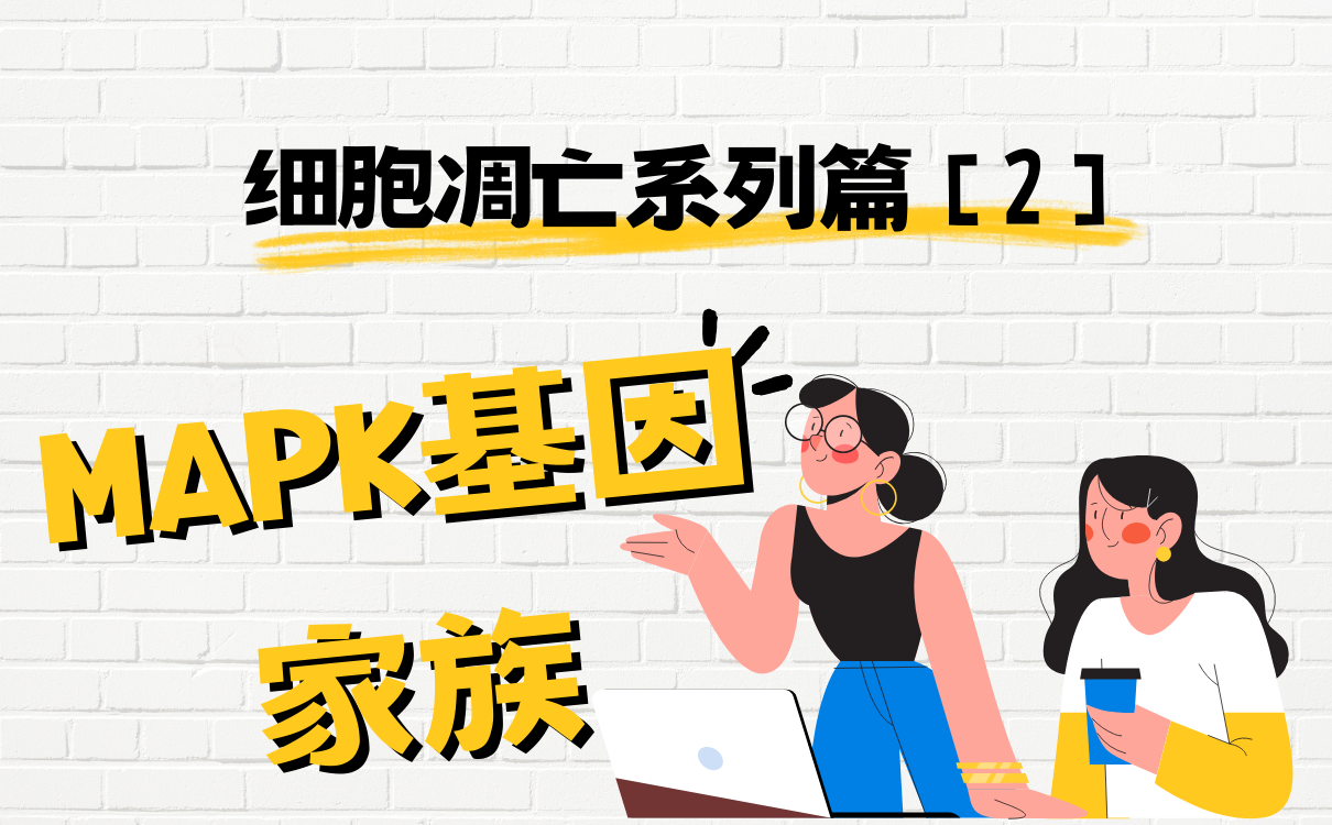 MAPK基因家族在细胞凋亡扮演的角色