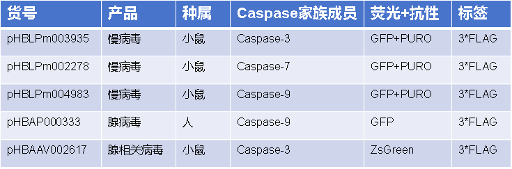 汉恒生物Caspase相关现货