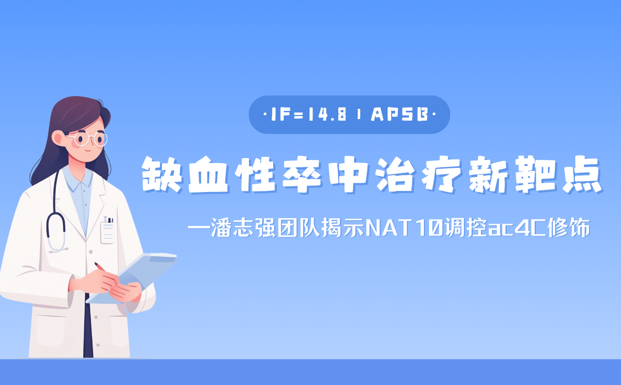 缺血性卒中治疗新靶点