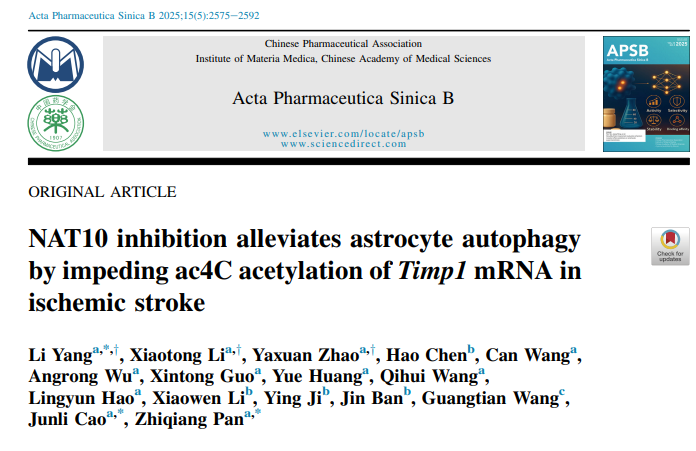 缺血性卒中治疗新靶点
