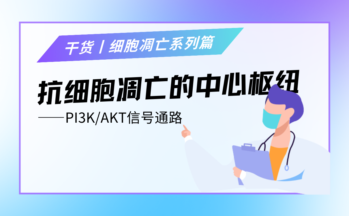 抗细胞凋亡的中心枢纽：PI3K/AKT信号通路