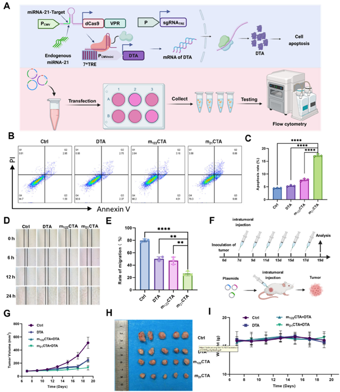 m21CTA系统在肿瘤治疗中的应用
