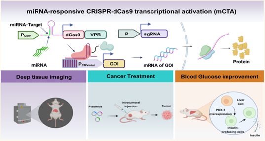 mCTA系统及其应用