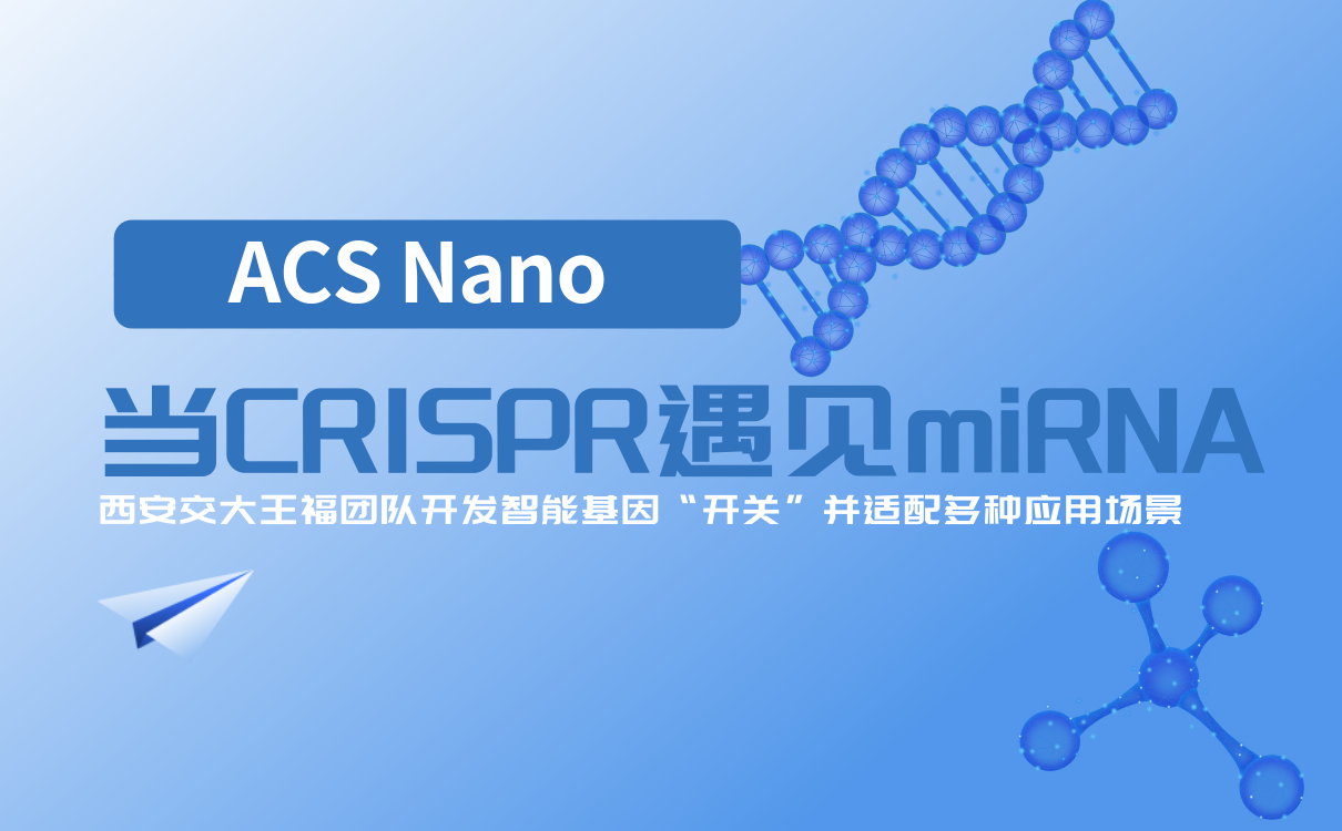 当CRISPR遇见miRNA