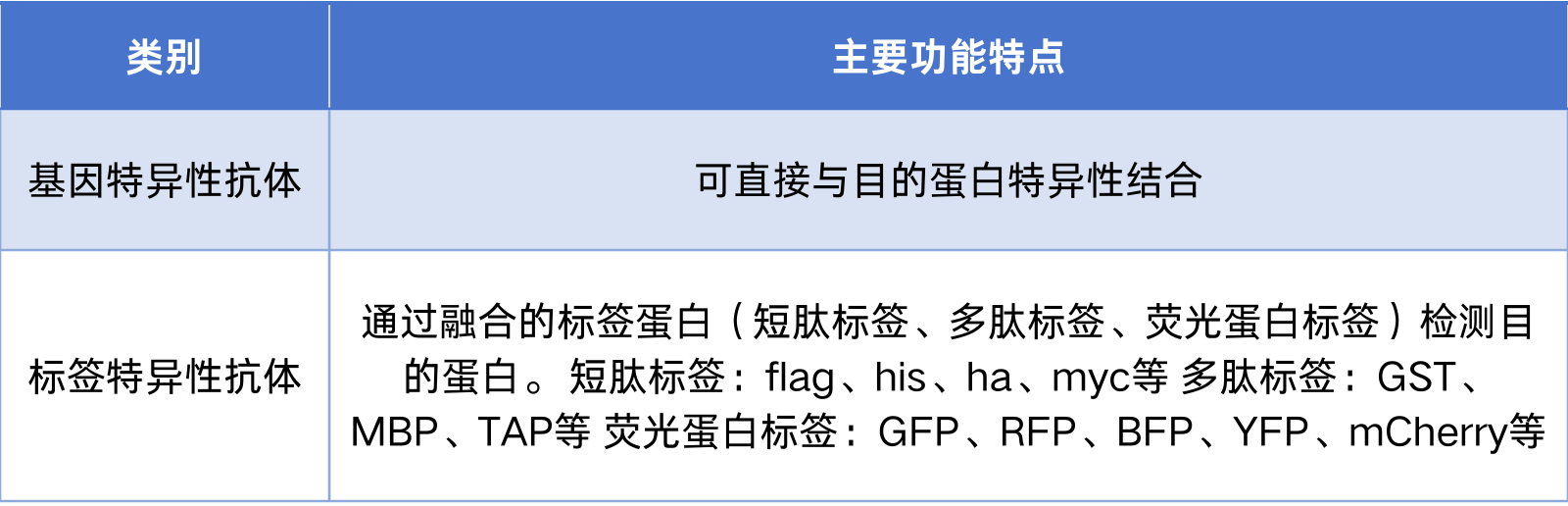 抗体的功能和作用机制