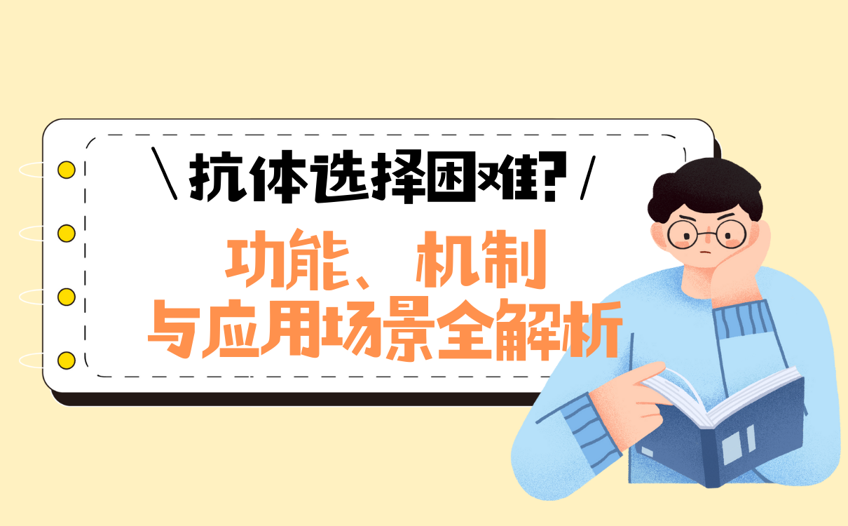 抗体的功能和作用机制