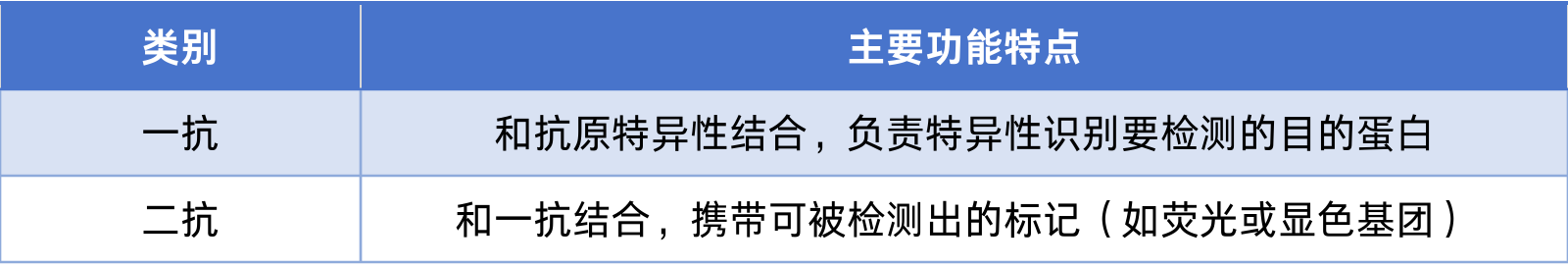 抗体的功能和作用机制