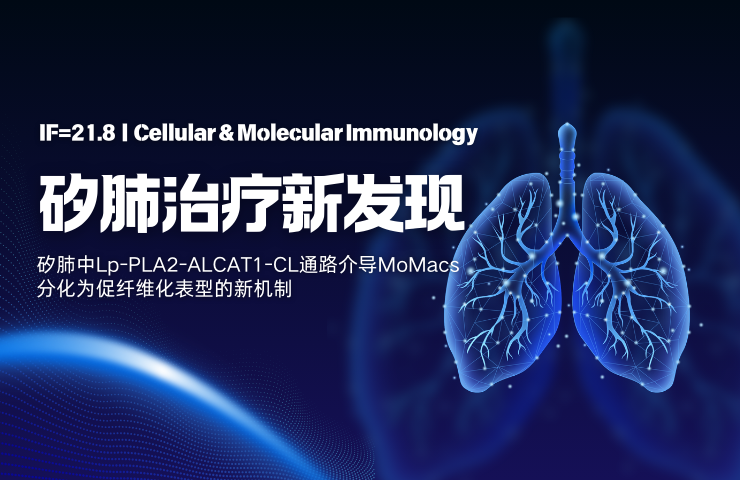 矽肺治疗新发现