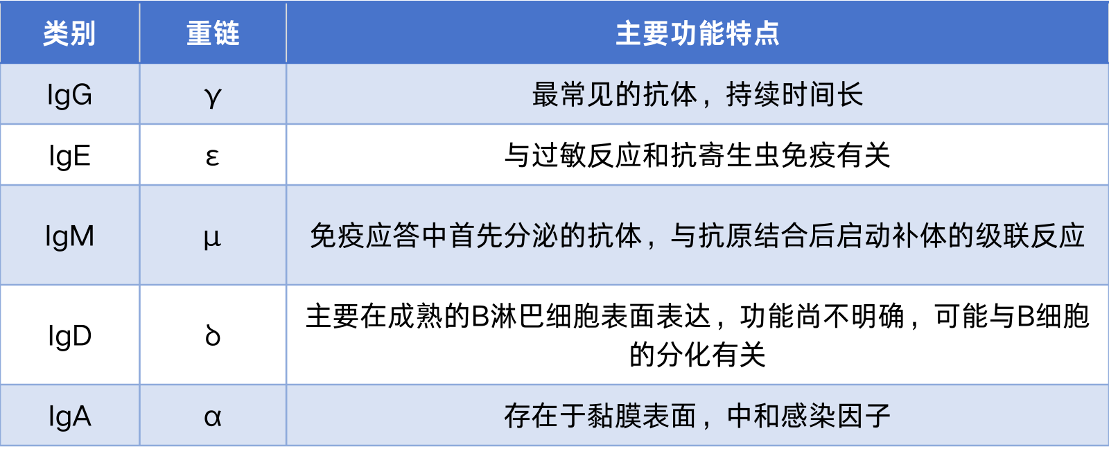 抗体的功能和作用机制