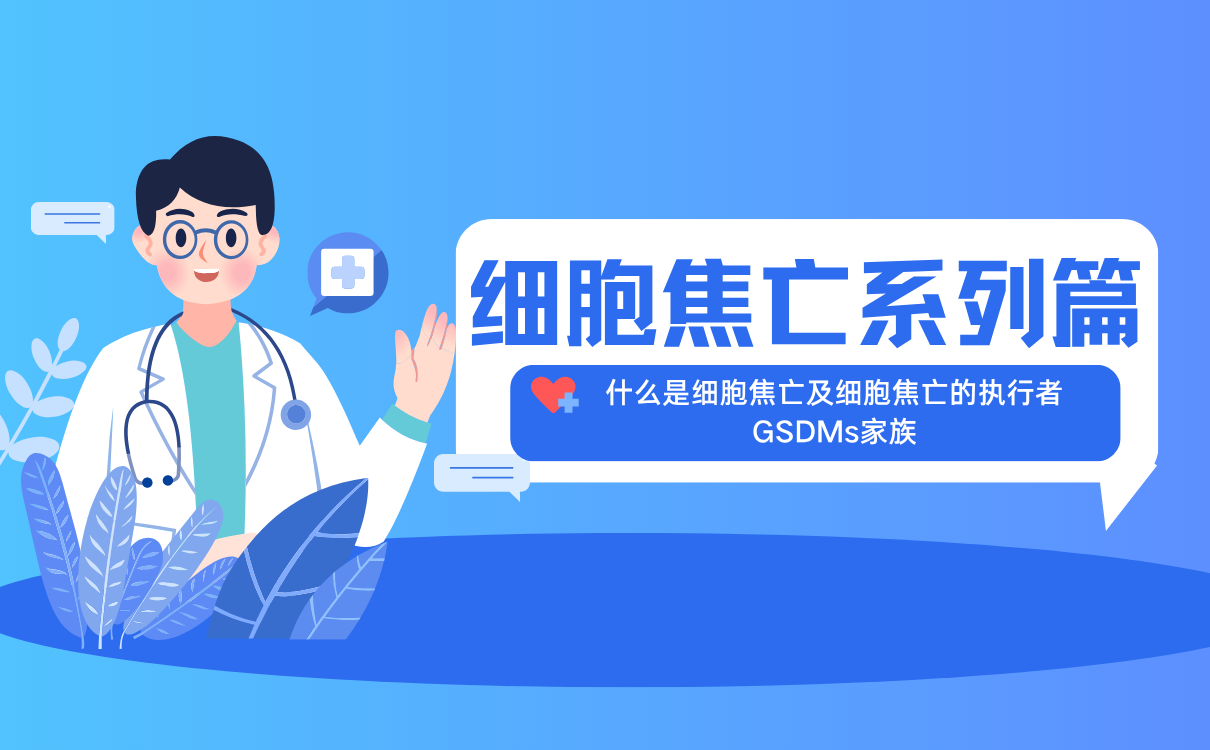 细胞焦亡及细胞焦亡的执行者：GSDMs家族
