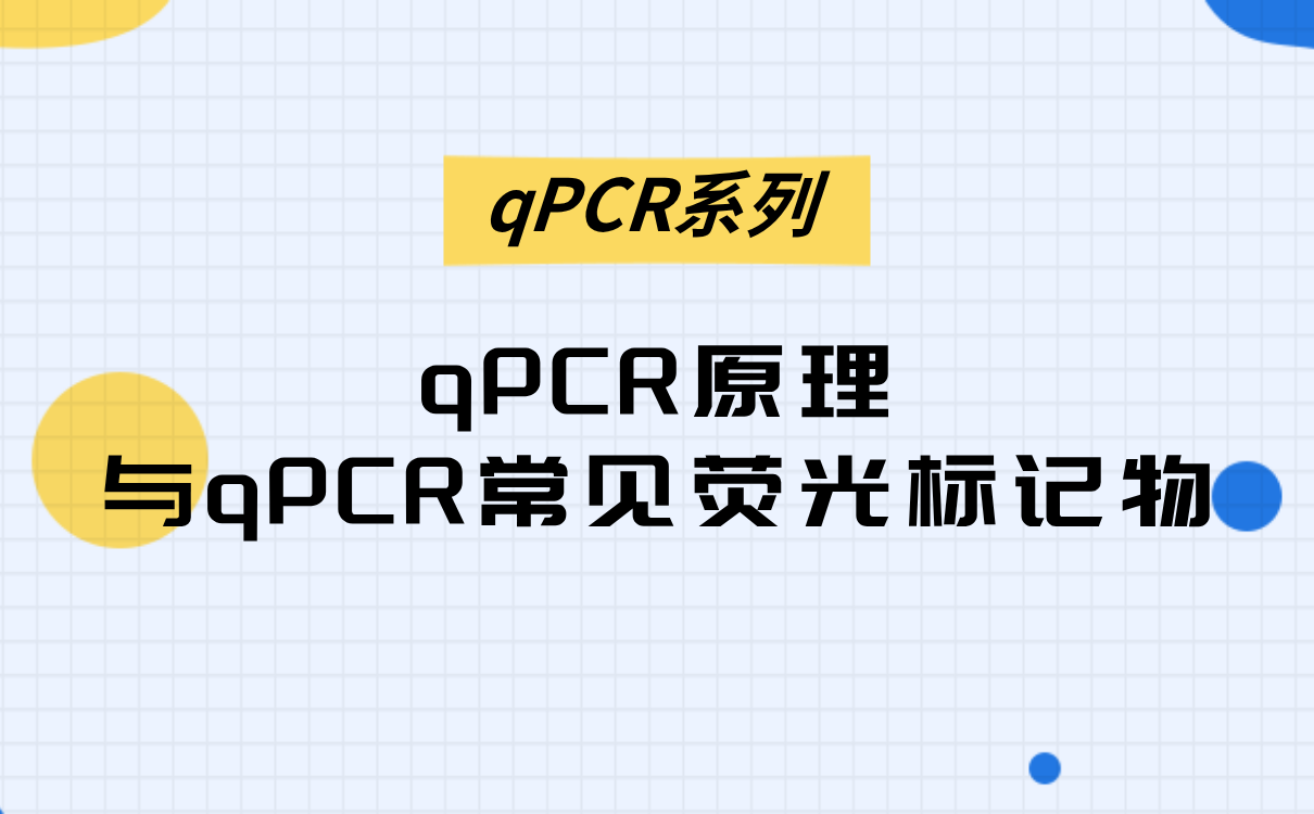 qPCR原理与qPCR常见荧光标记物