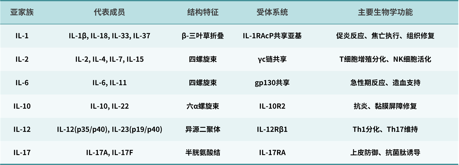 主要IL亚家族的特征与功能