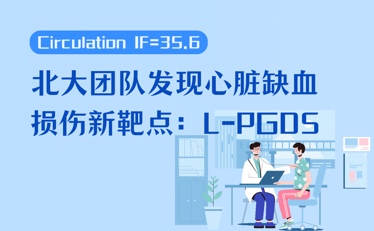 心脏缺血/再灌注损伤防治的新靶点