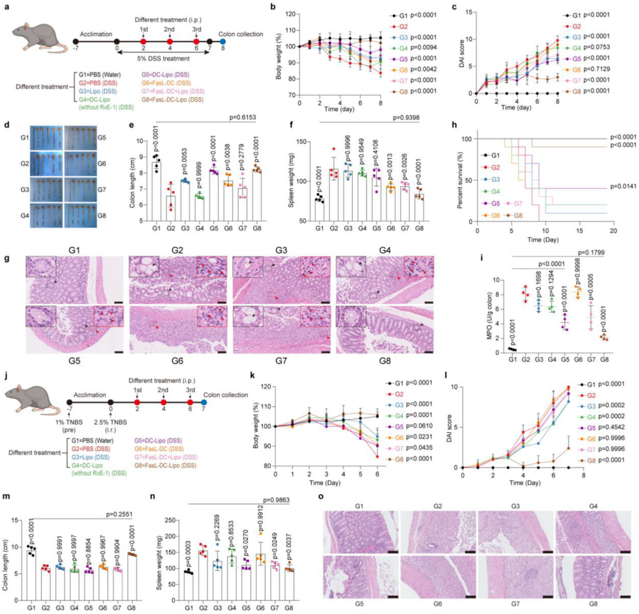 FasL-DC-Lipo对IBD小鼠的治疗效果